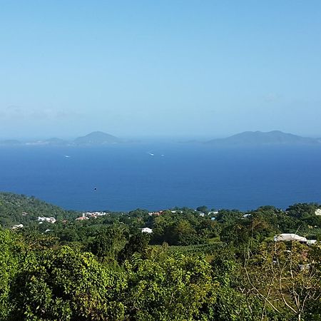 Villa L'Ilot Fruits Guadeloupe Trois-Rivières Exterior foto